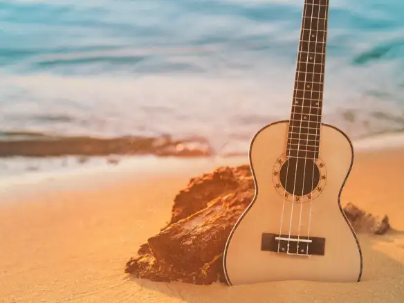 Ukulele stuck in sand on a summer day